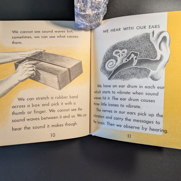 I Want to Know About Animal Babies, Sounds & Moon, Sun & Stars by Illa Podendorf - Picture 9 of 16